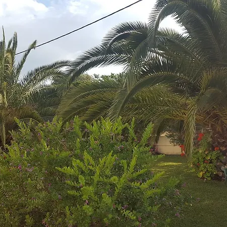 Liberty Villa